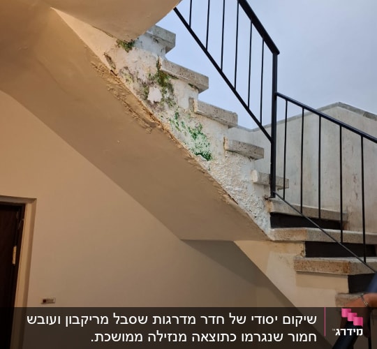 מדרגות עם סימני רטיבות וקילוף צבע, מעקה מתכת שחור.